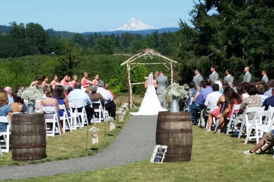 Wedding reception area