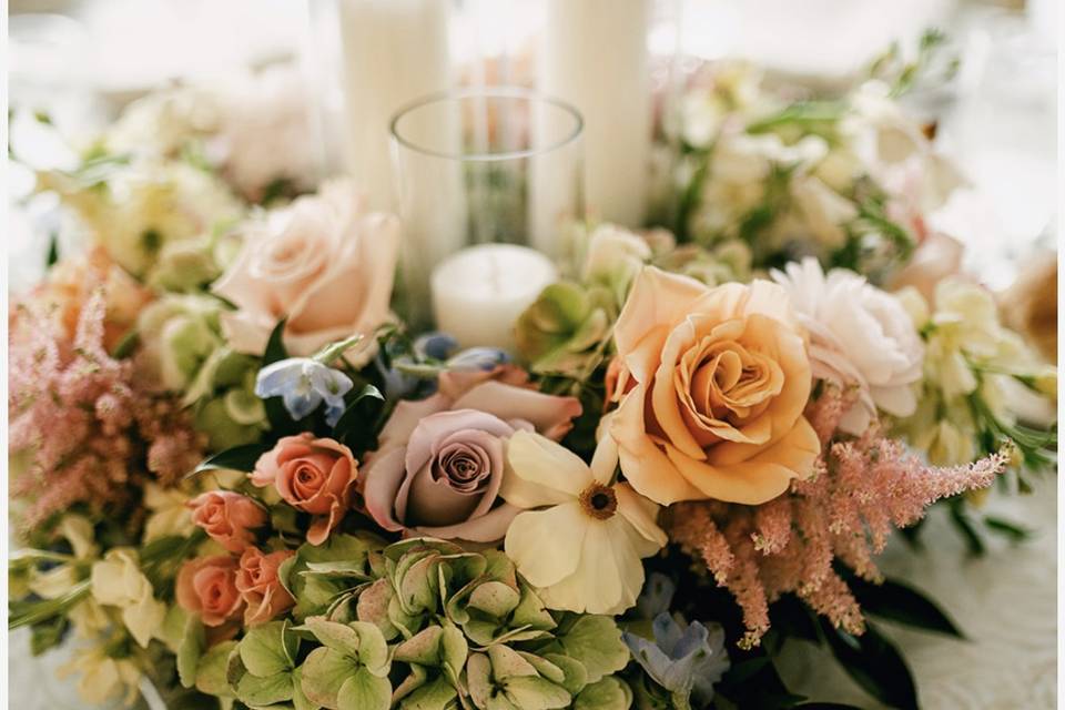 Bella Flowers