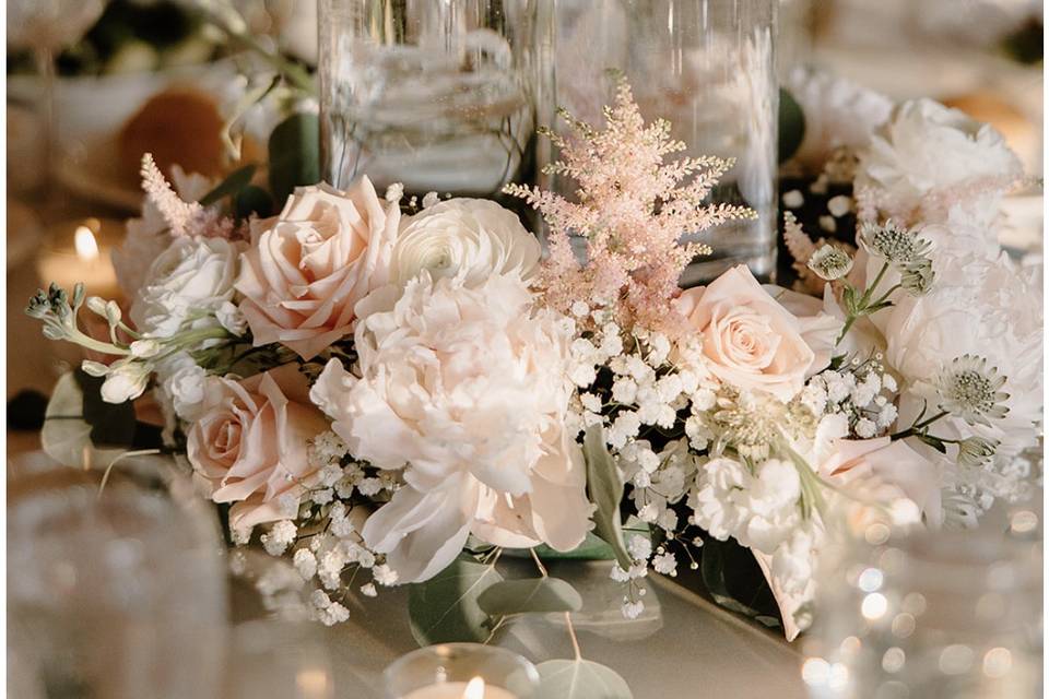 Bella Flowers
