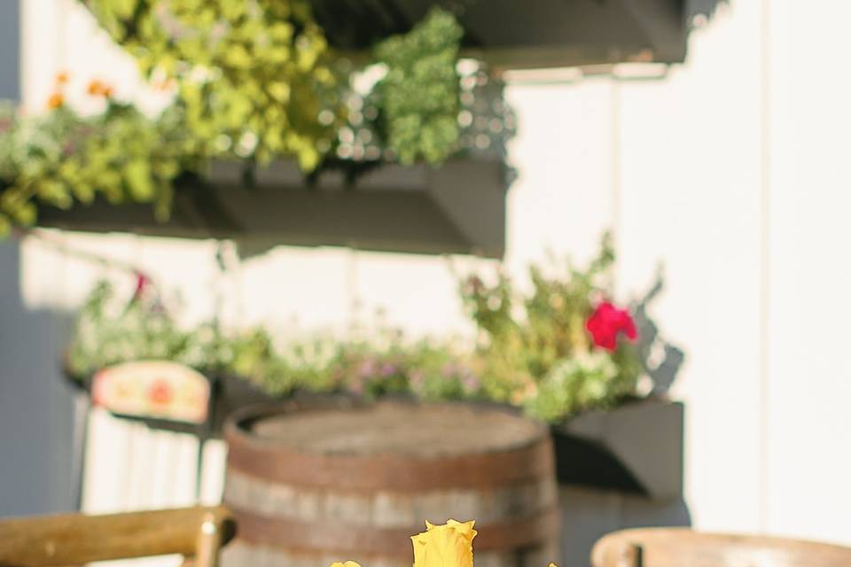 The Fremont Social