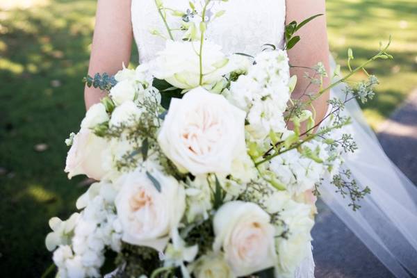 Manor at Mount Carmel bride