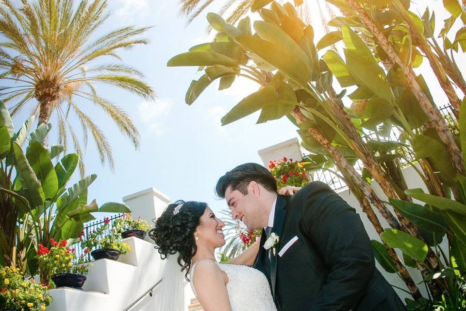 Palm tree love - Tim Otto Photography