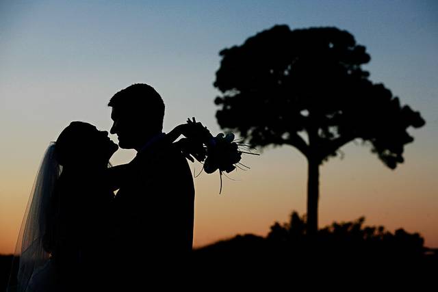 Stephen Bobb Photography
