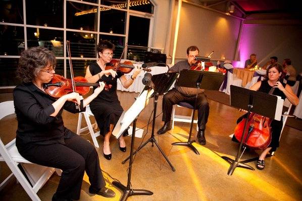 Cellist performing as part of string quartet for the wedding and reception, at The Palm Door in Austin, Texas