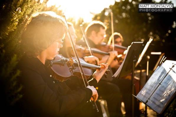 Strings quartet