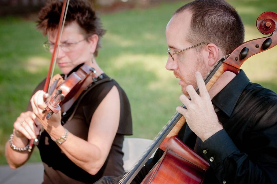 Violinist and cellist