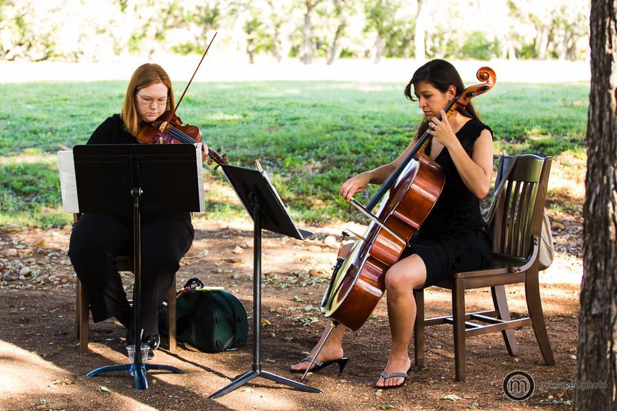 The musicians