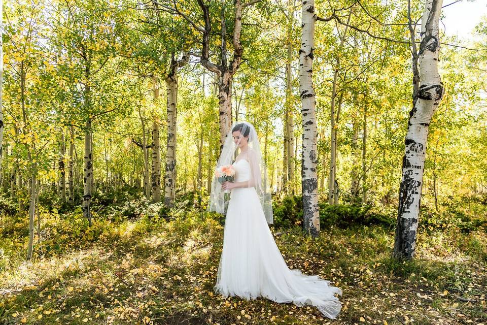 Bride amongst aspens