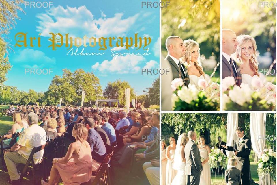 Ari Photography Sample 12x12 wedding Album#legendweddingalbum
