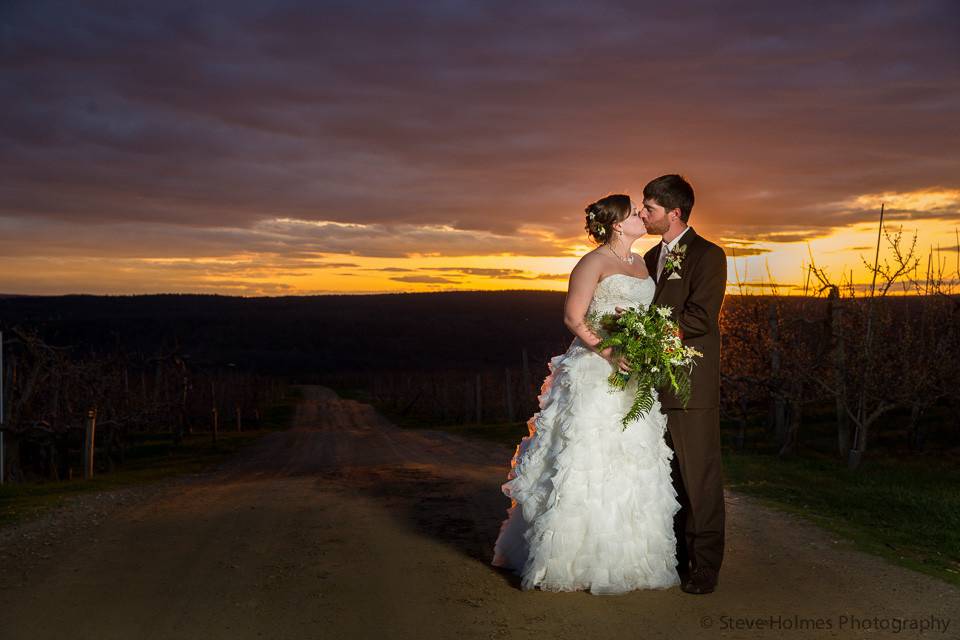 Wedding couple's portrait