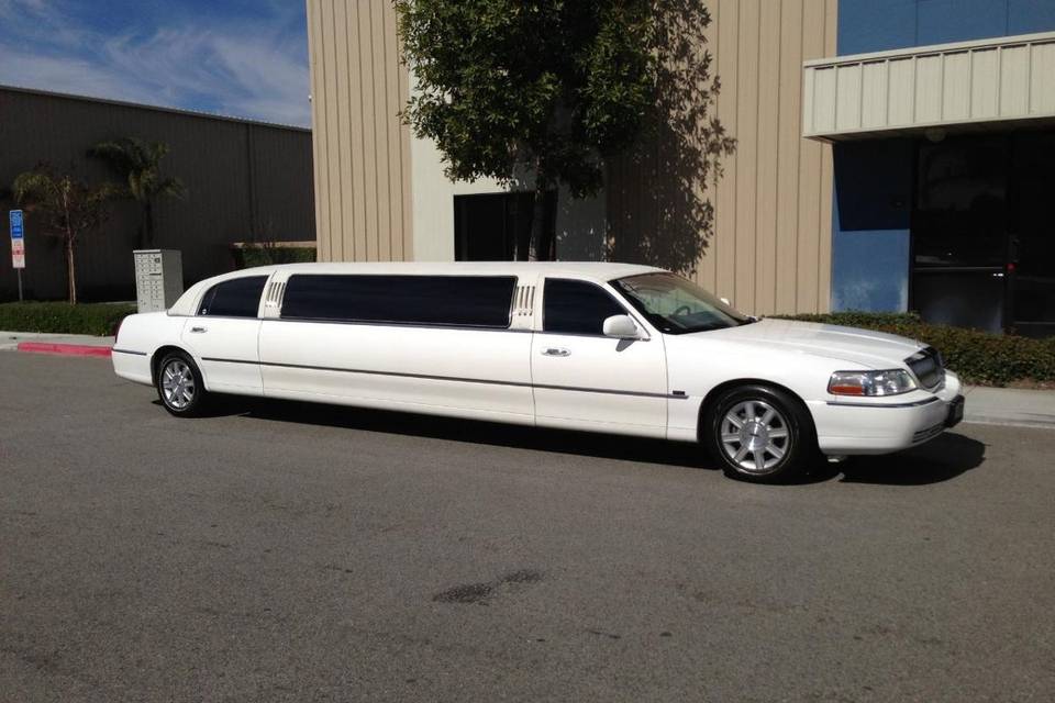 Elegant Silicon Valley Limo