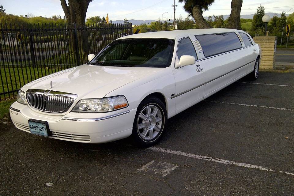 Elegant Silicon Valley Limo