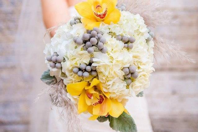 Yellow and white flowers