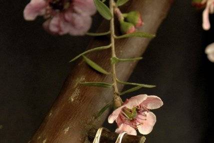 Olympia Necklace, is a longer necklace 30