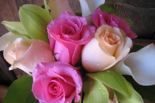Pink and peach