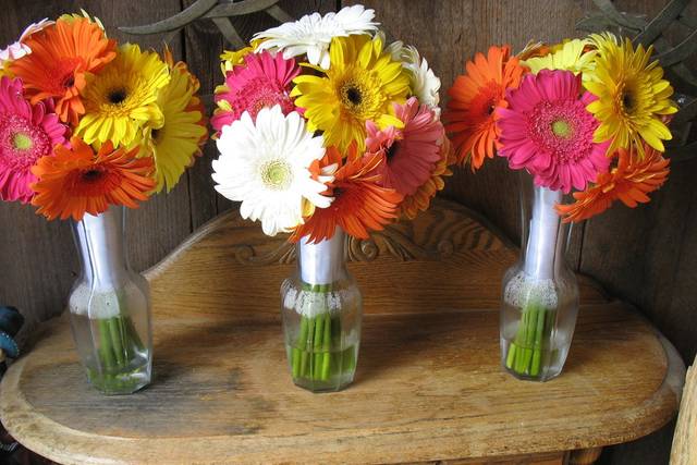Vivid colors