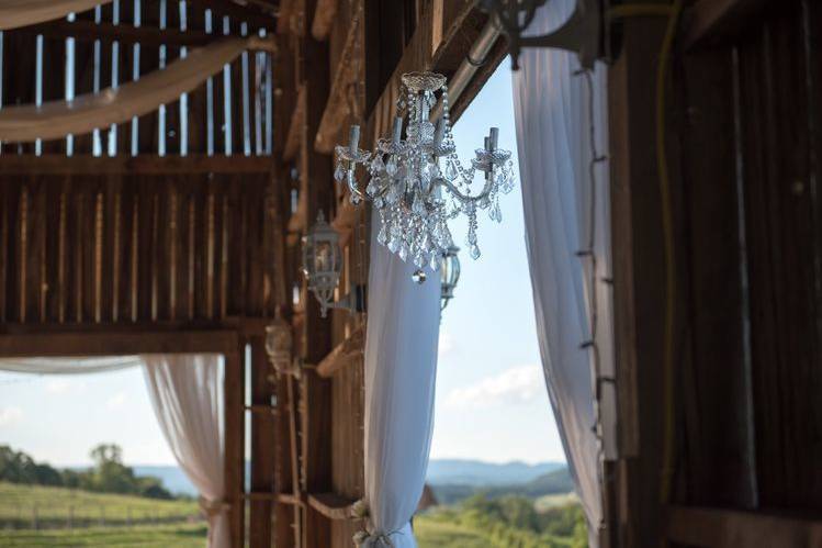 The White Rose at Hidden Meadows Farm