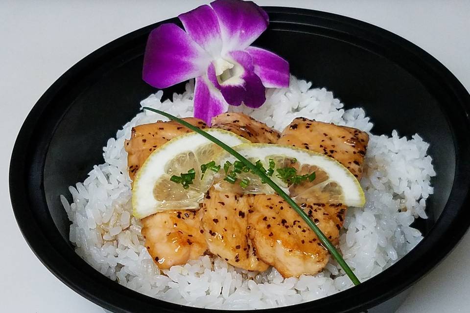 Pure Sushi and Asian Fusion