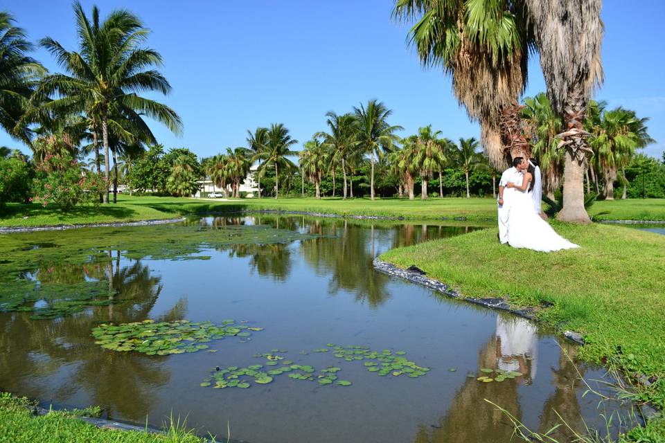 Wedding Pictures