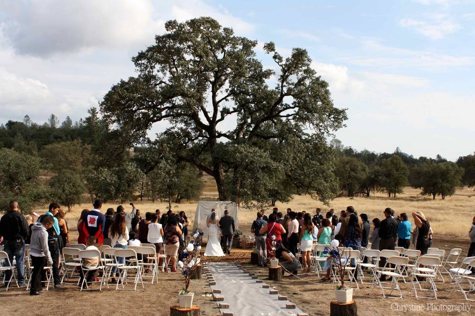 Wedding ceremony