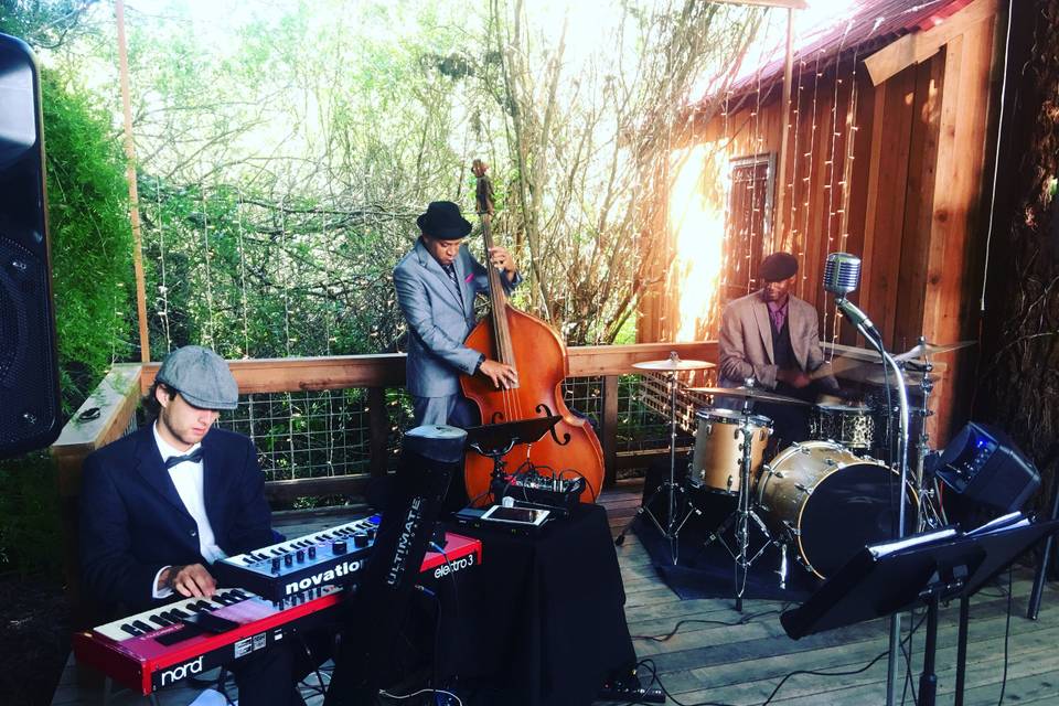 Cocktail jazz trio