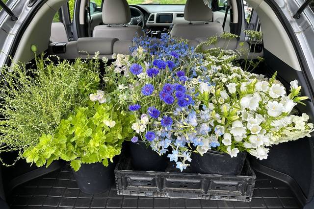 Stoneside Flower Farm