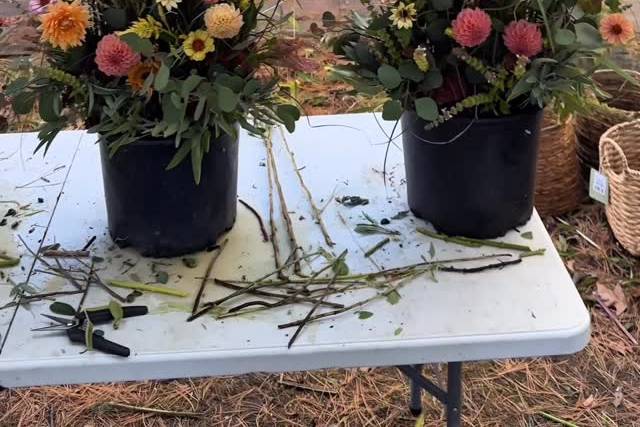 Stoneside Flower Farm