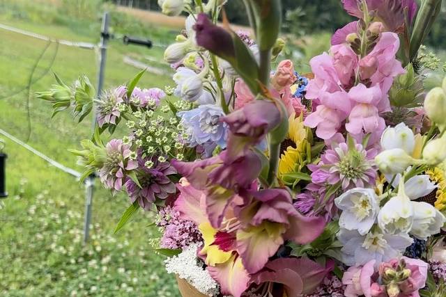Stoneside Flower Farm