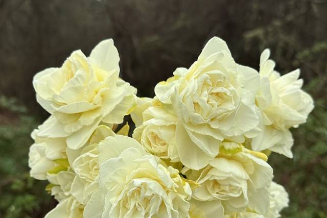 Stoneside Flower Farm