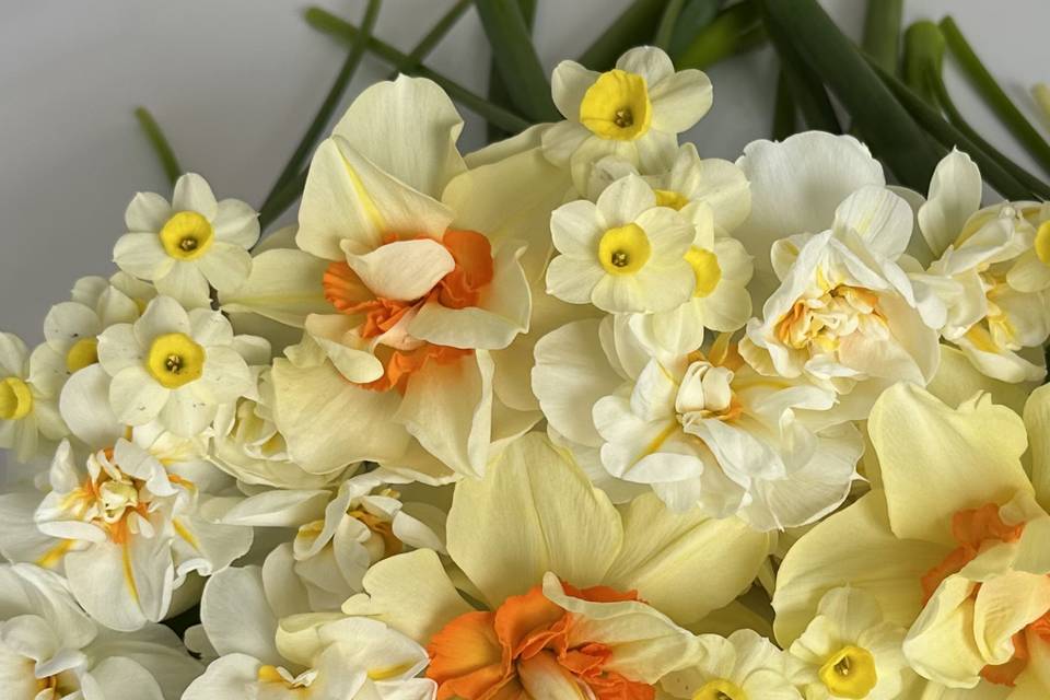 Stoneside Flower Farm