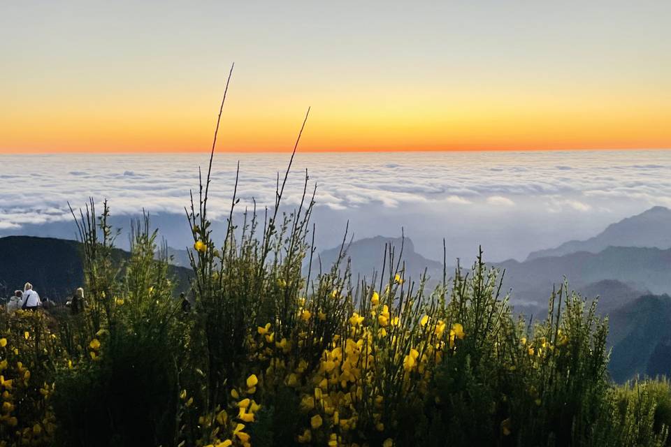 Pico Ruivo, Madeira Portugal