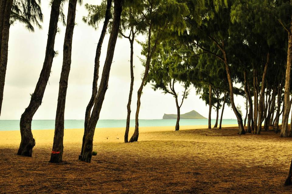 Oahu, Hawaii