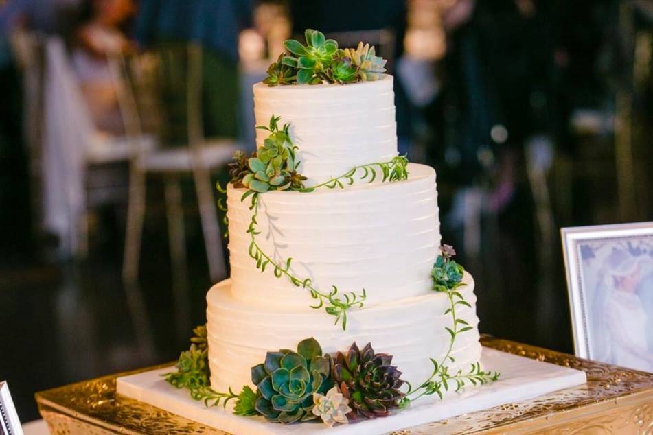 Horizontal texture buttercream with greenery & succulents at thursday club