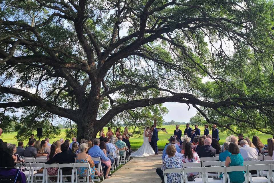 Ceremony under tree