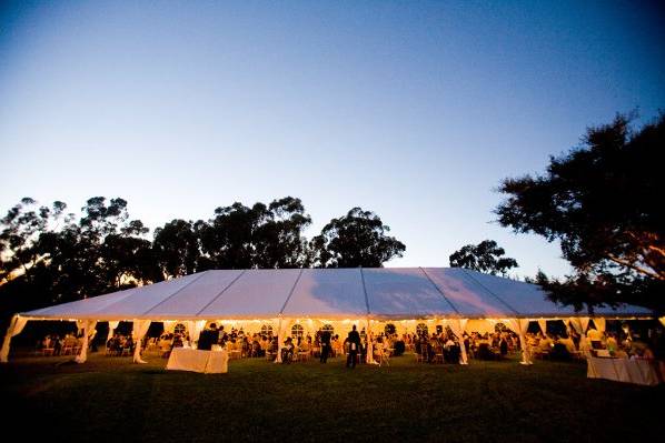 Reception under a tent on the lawn