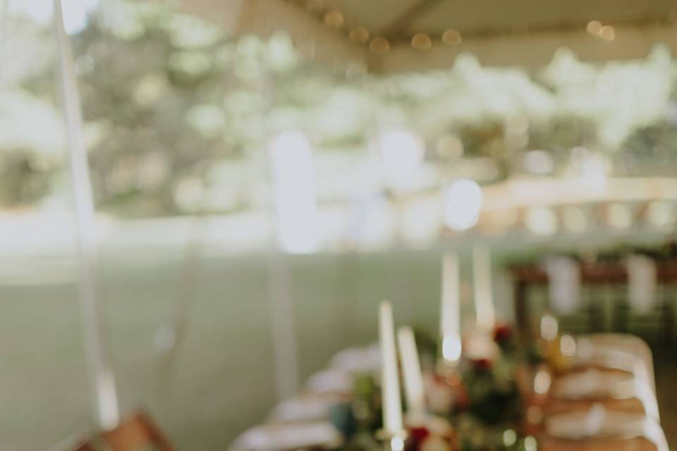 Place cards