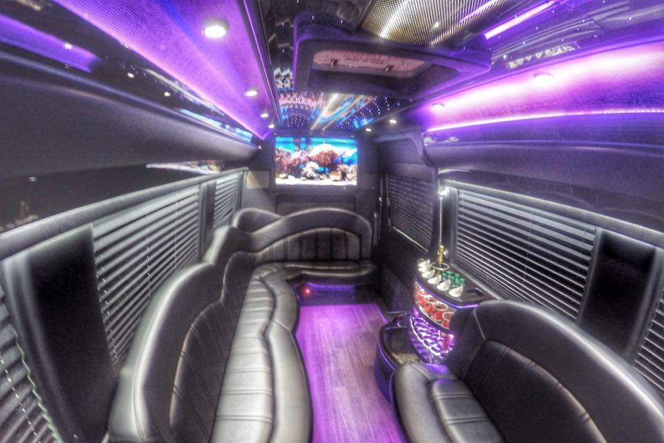 Mercedes Executive Limo Bus Interior