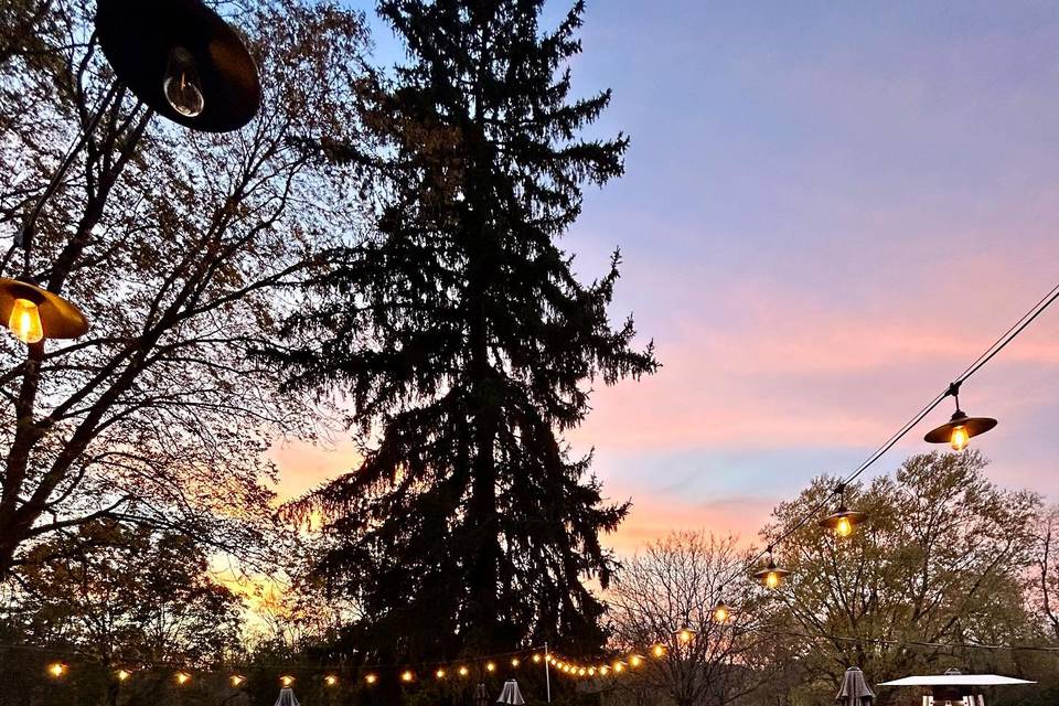 Grape Vines Wine Bar