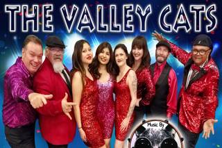 The Valley Cats Band