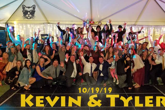 Valley Cats Wedding!