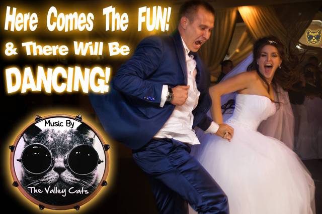 Valley Cats Wedding!