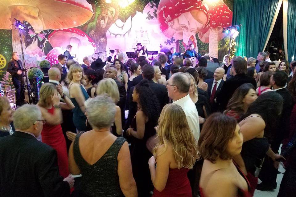 Valley Cats Party!