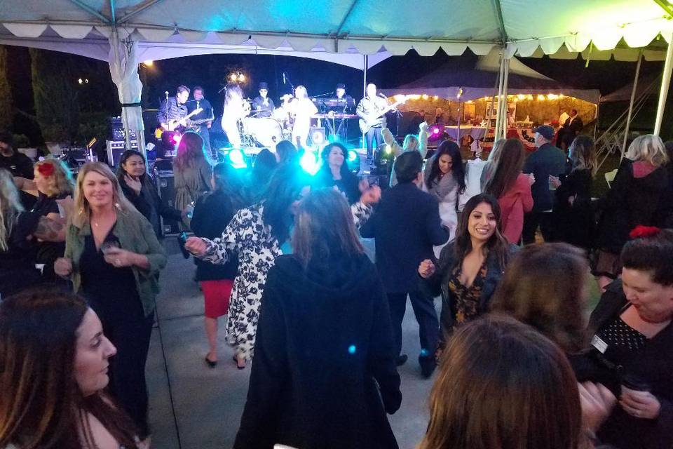 Valley Cats Party!