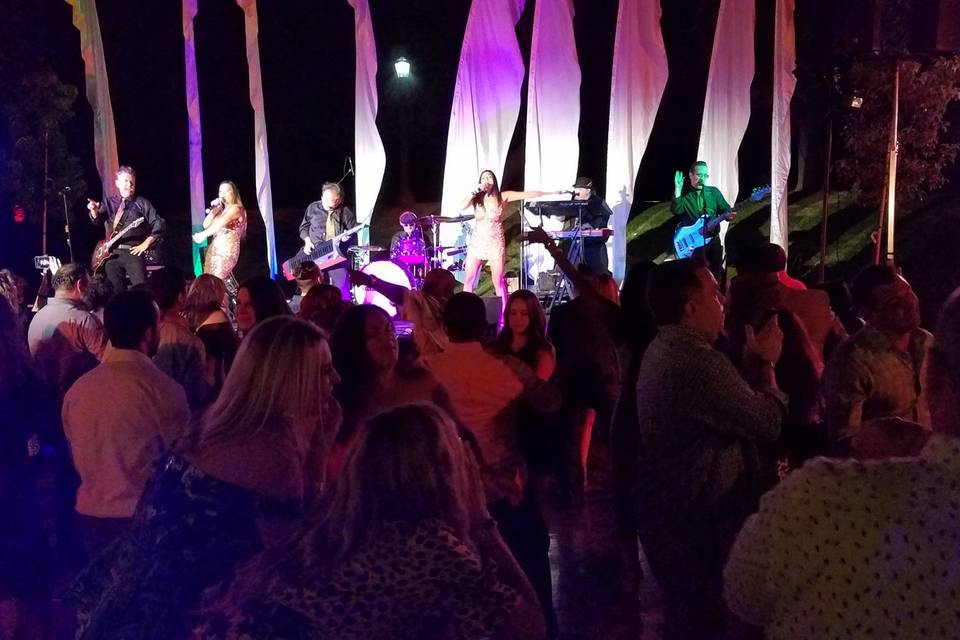 Valley Cats Show!