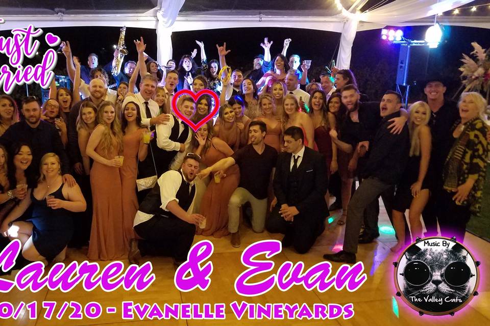 Valley Cats Wedding!