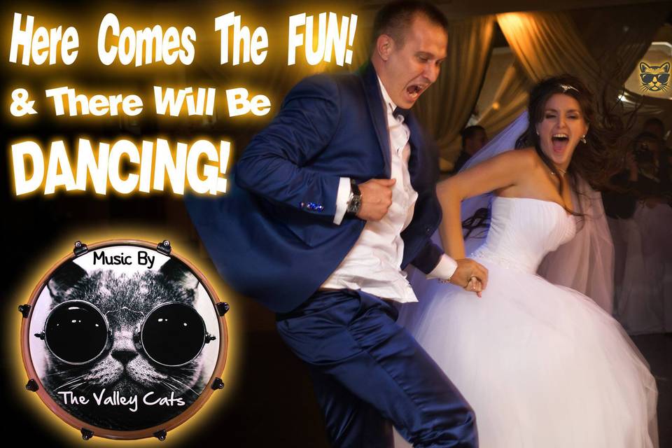 Valley Cats Wedding!