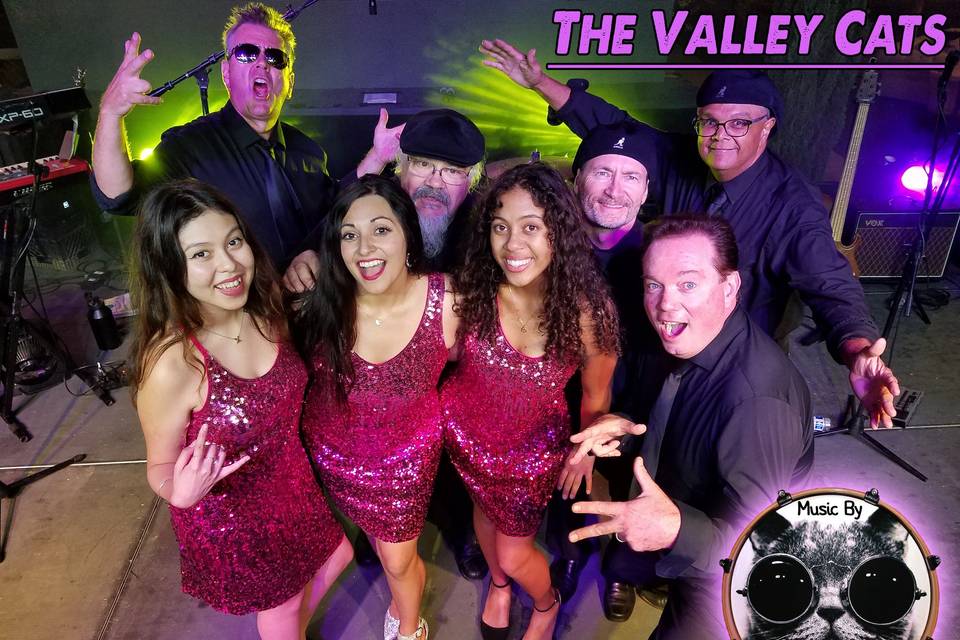 Valley Cats Party!