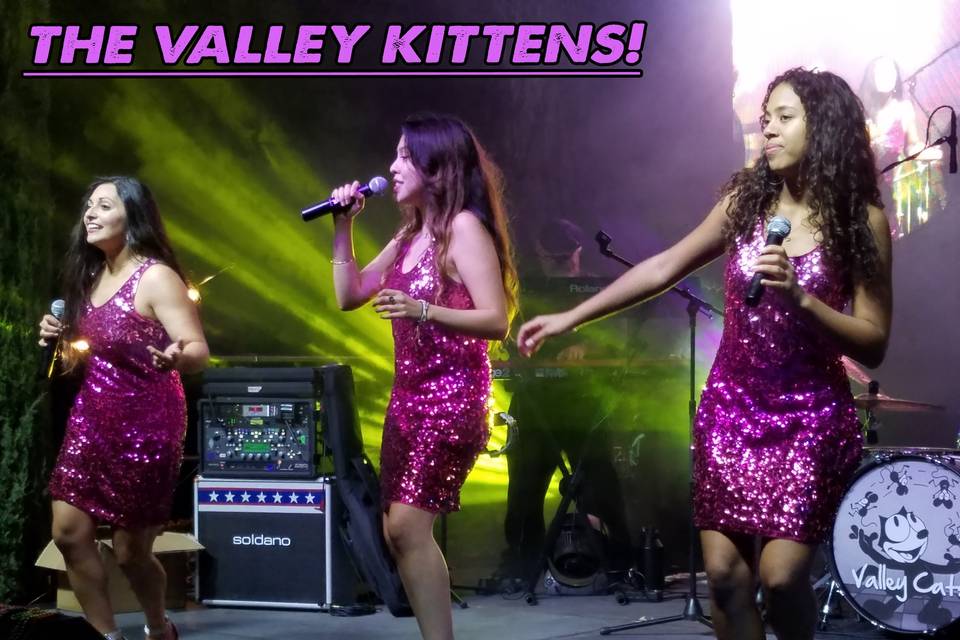 Valley Cats Vocalist!