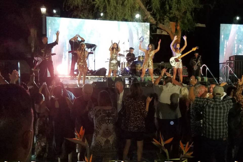 Valley Cats Party!