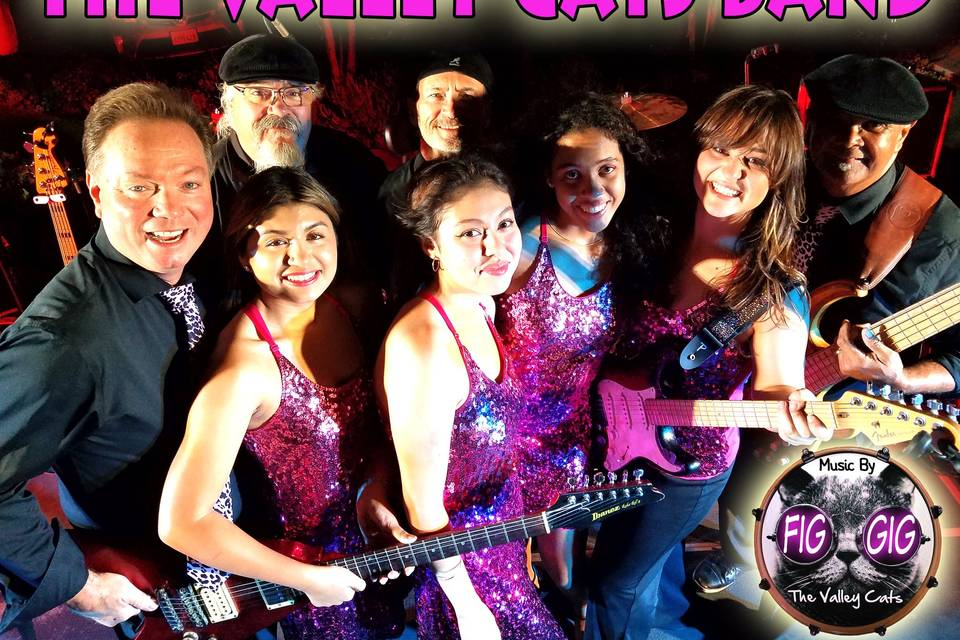 Valley Cats Party!